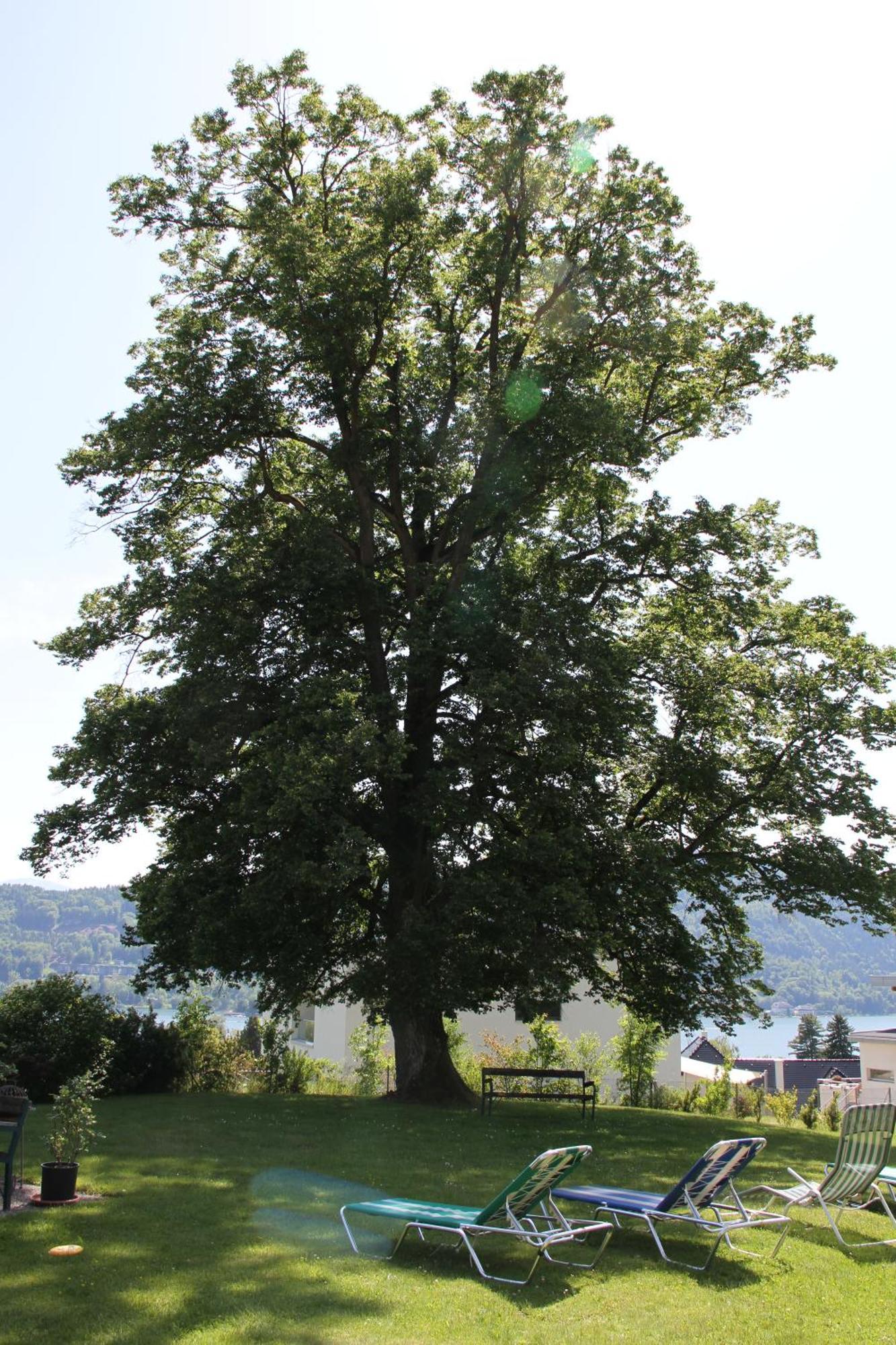 Pörtschach am Wörthersee Landhaus Strussnighof מראה חיצוני תמונה